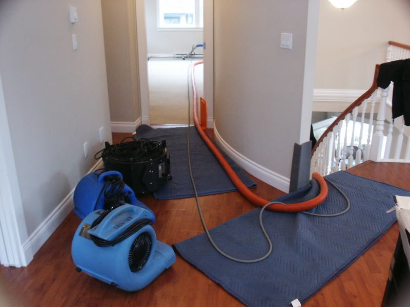 08-02-02newblower1stjob4.jpg