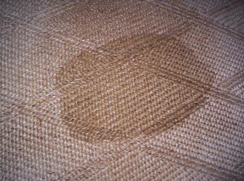 100_0031.jpg
