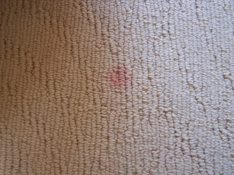 100_4563.jpg
