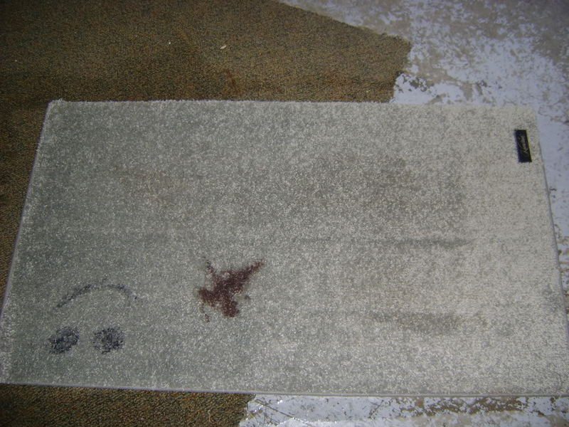 11112009055.jpg