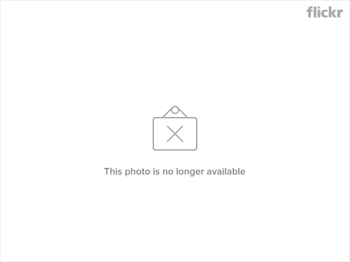 1539815854_aa461c39c3.jpg
