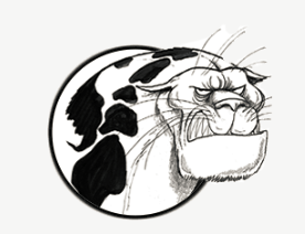 1589269849924.png