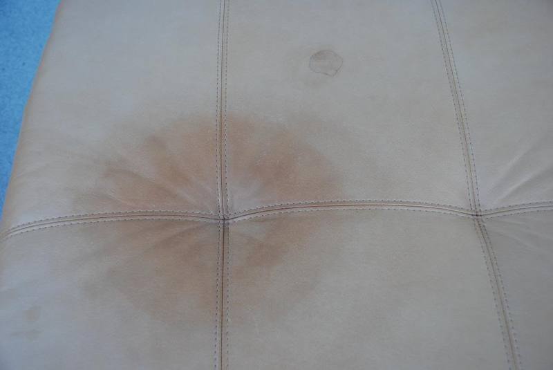 1CatUrinestain.jpg