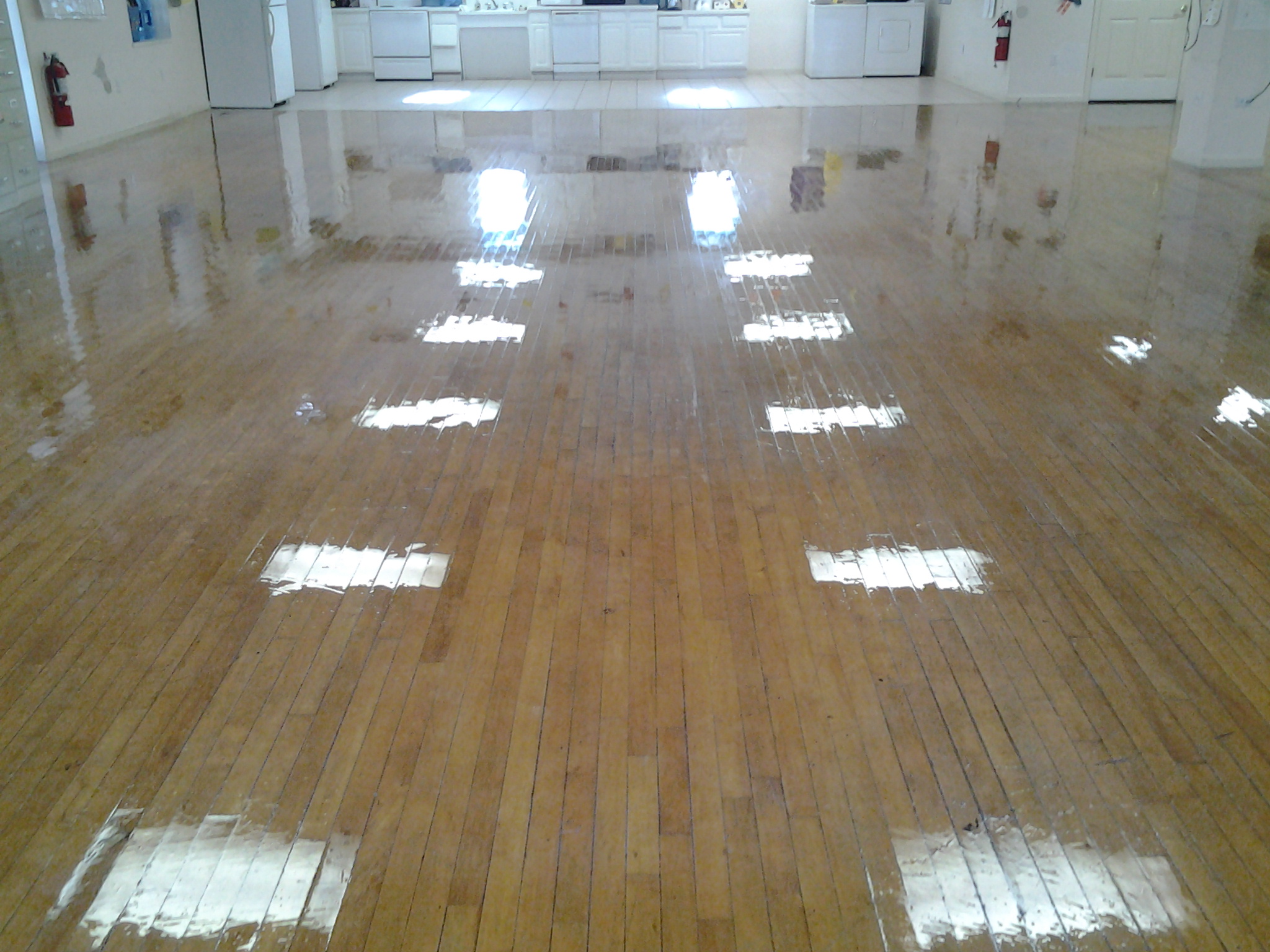 20141108_123152.jpg