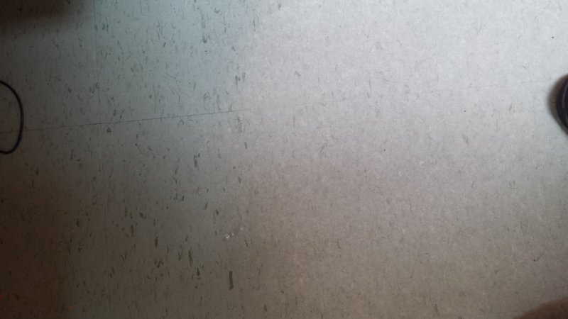 20150912_144228.jpg