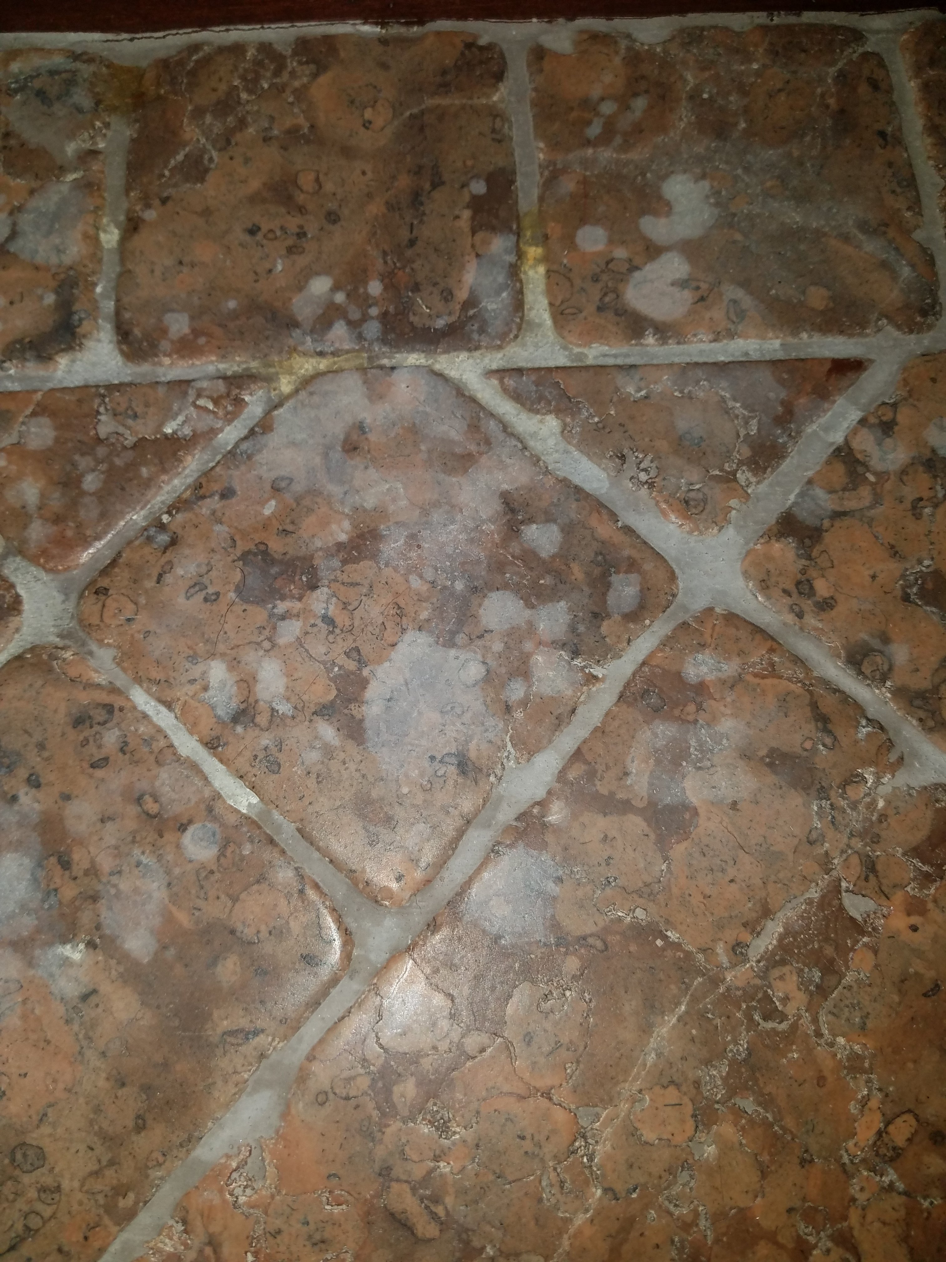 20180219_103100.jpg