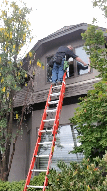 20200514_093000_1.gif