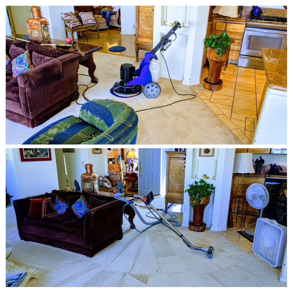 20210330_142553-COLLAGE.jpg