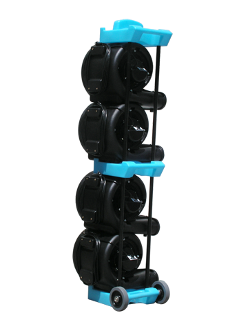 2202-dolly_blue-path.png