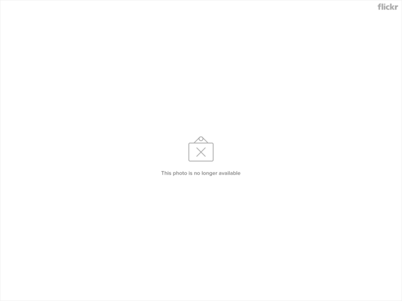 472207571_dfa40bc902_o.jpg