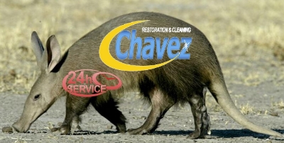 Arvark_zps259decac.jpg