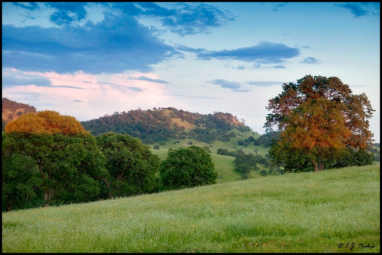 CA_SierraNevadaFoothills02.jpg