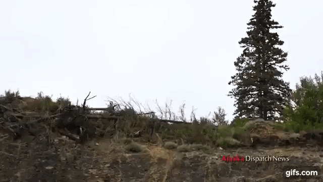 cars-fly-on-the-fourth-of-july.gif