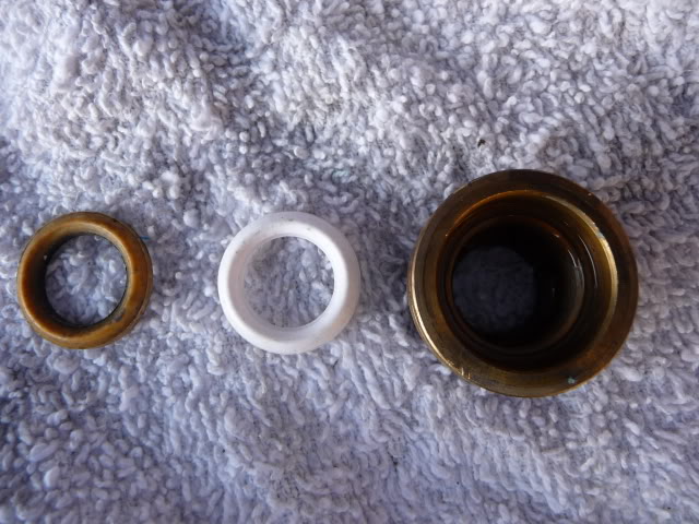 catseals001.jpg