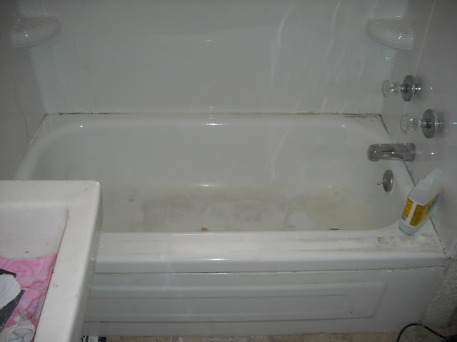 cleaning005.jpg
