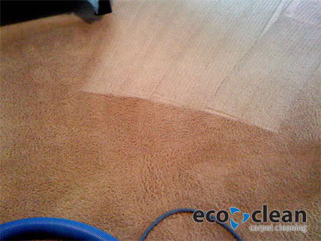 dirtycarpet1.jpg