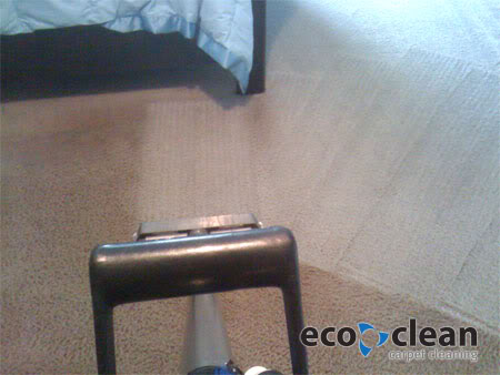 dirtycarpet2.jpg