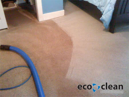 dirtycarpet3.jpg