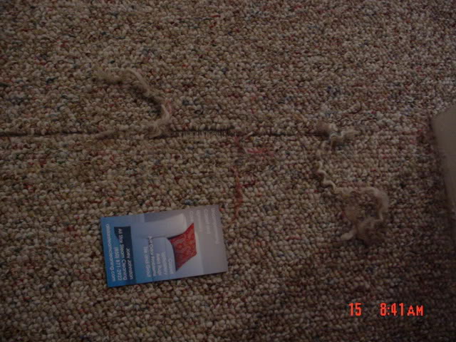 DSC00234.jpg