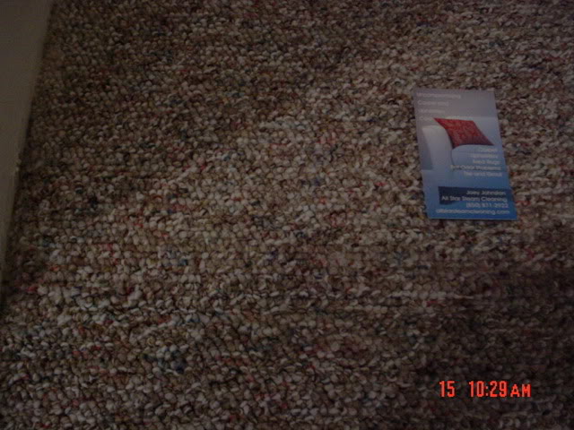 DSC00238.jpg