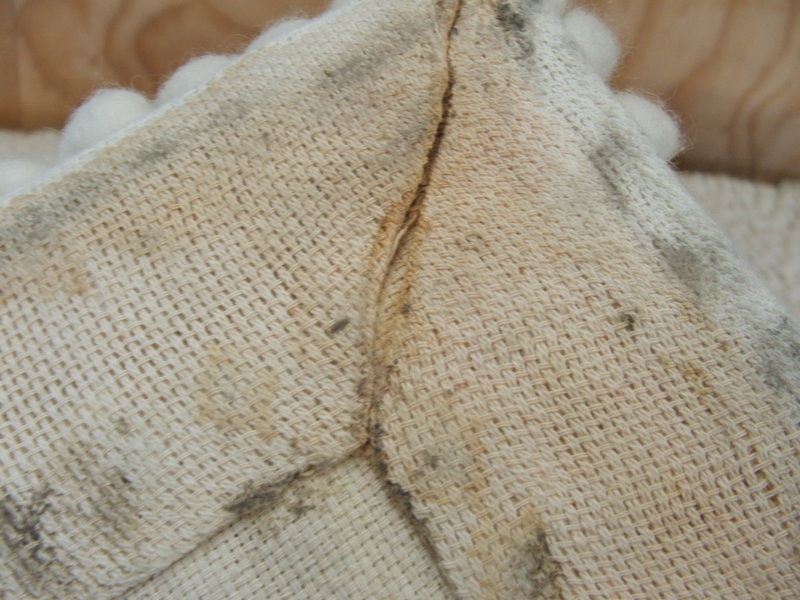 DSCF4196.JPG