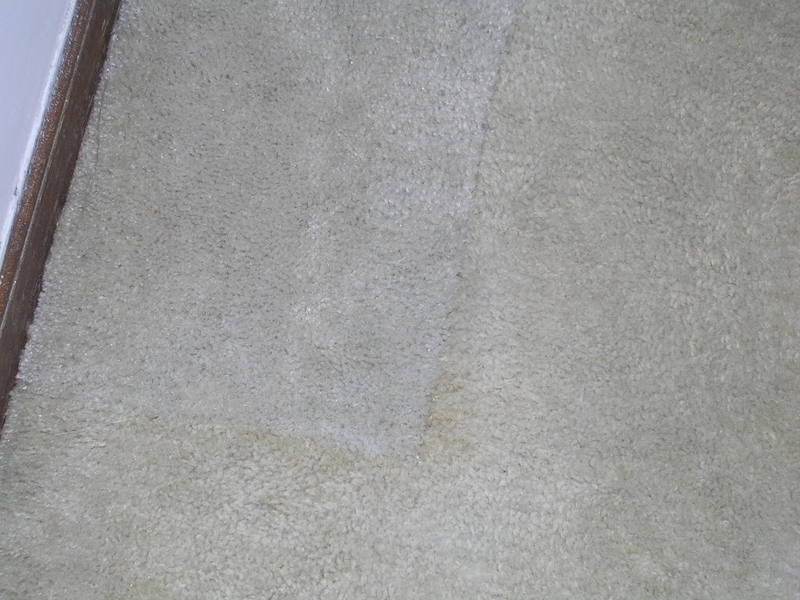 DSCN1902.jpg