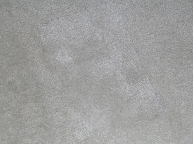 DSCN1903.jpg