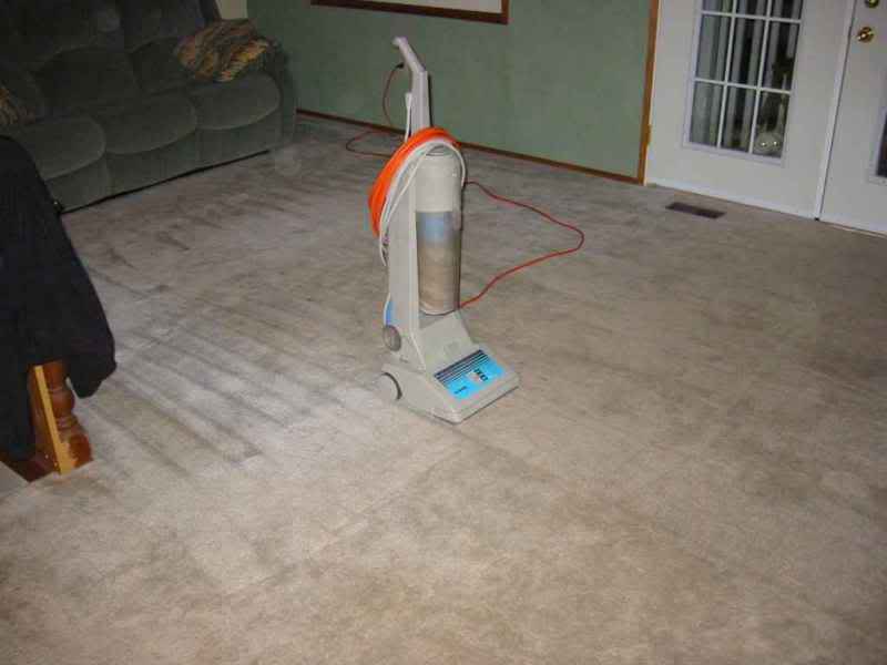 DuringAvac-carpet.jpg