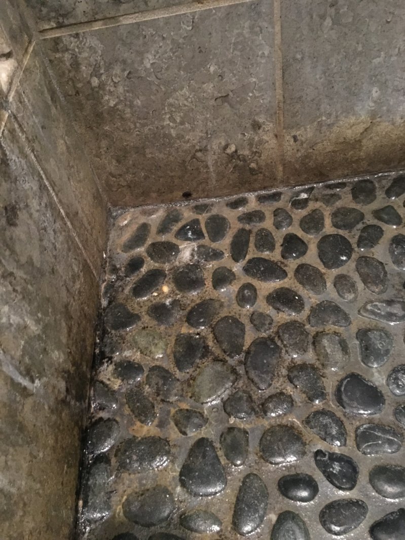 image2.JPG