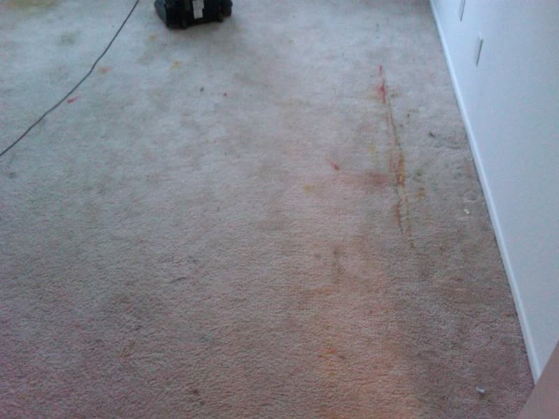 IMG00003-20091124-1627.jpg