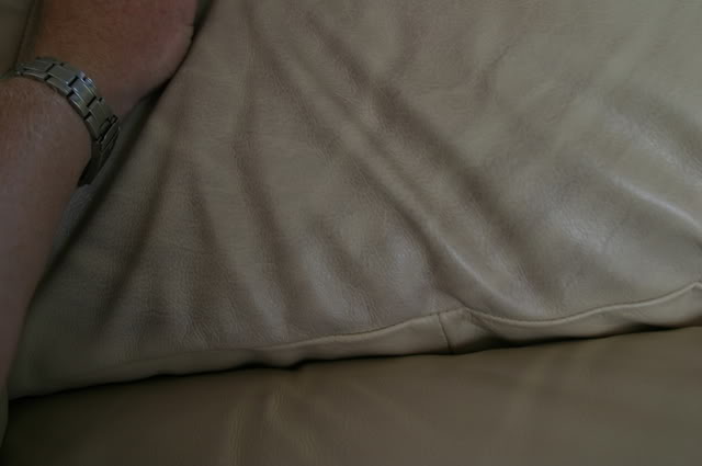 IMG_4358.jpg