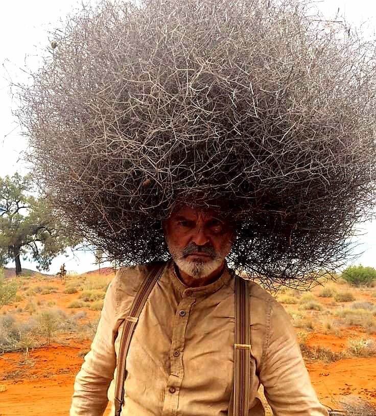 need a haircut.jpg