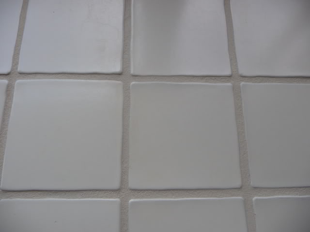 P1000634.jpg