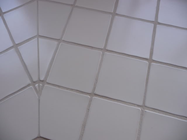 P1000639.jpg