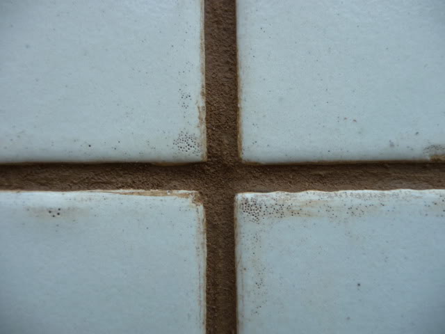 P1000654.jpg