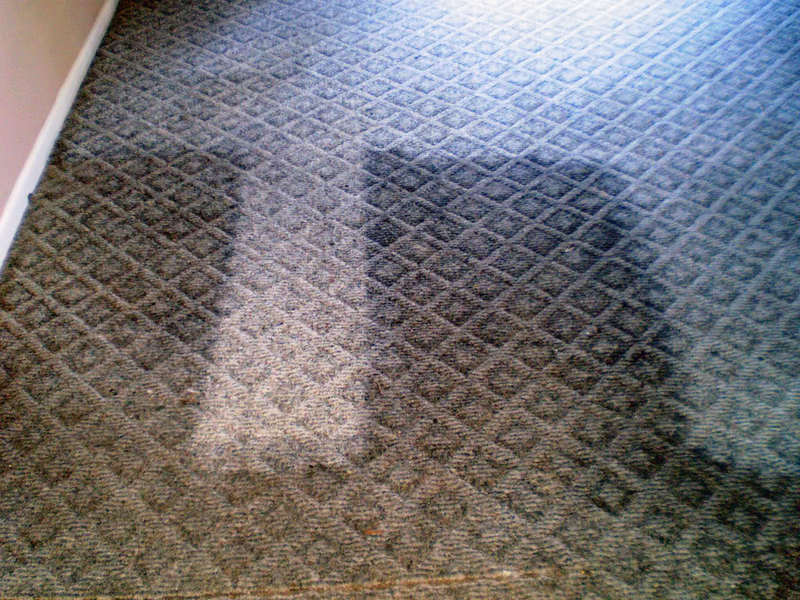 PC010081_01_edited.jpg