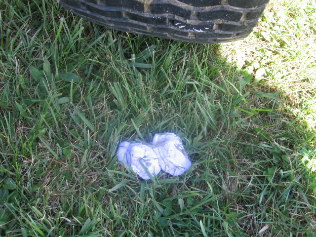 Picture235.jpg