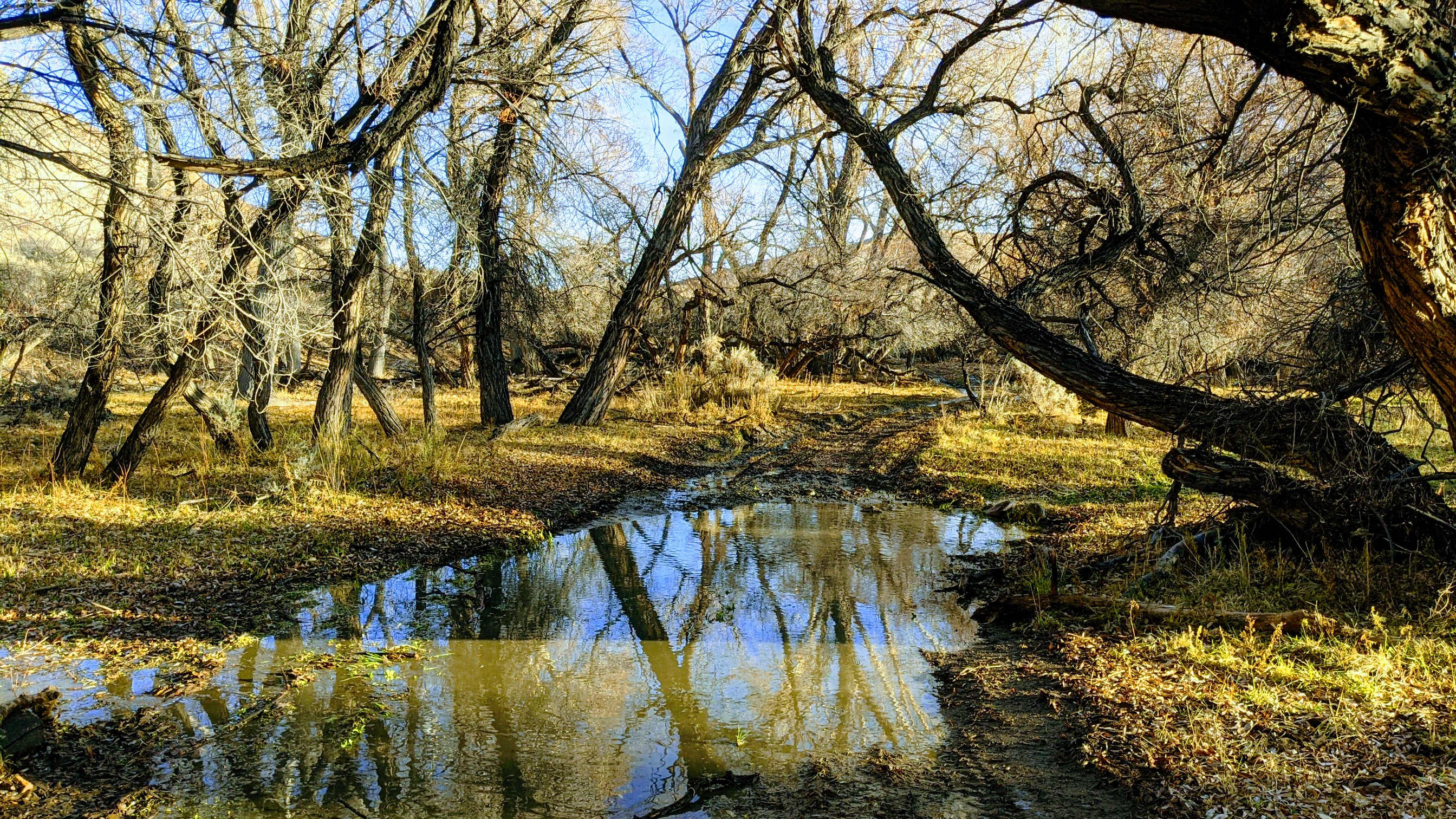 PXL_20201121_232430454.jpg