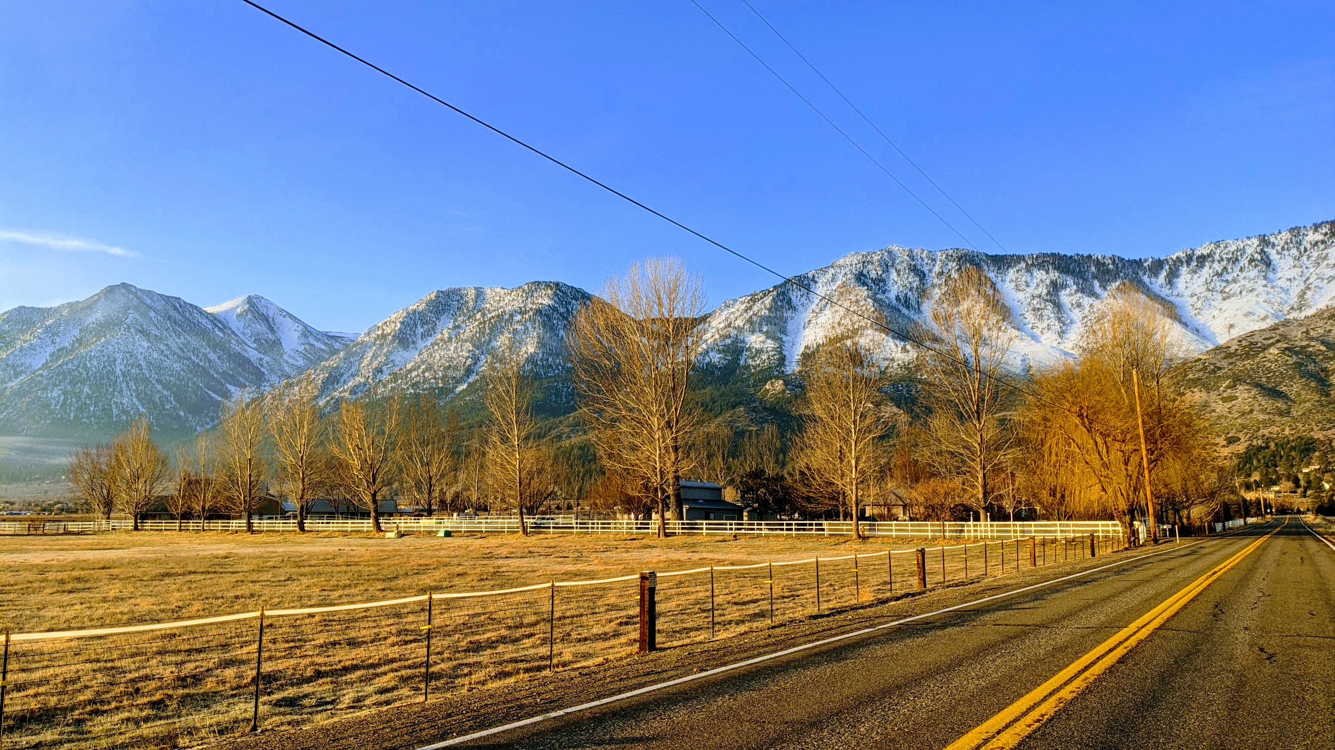 PXL_20201122_152431805.jpg