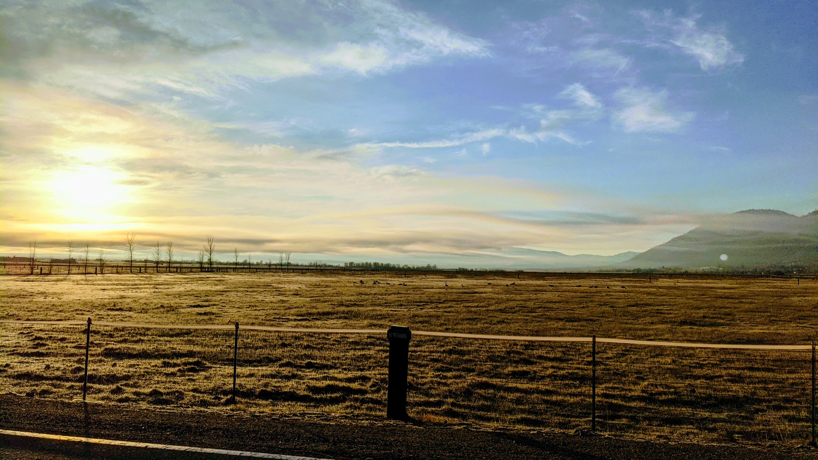 PXL_20201122_152443747.jpg