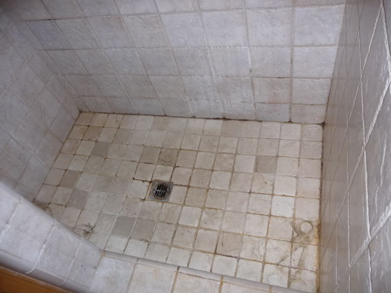 shower001.jpg