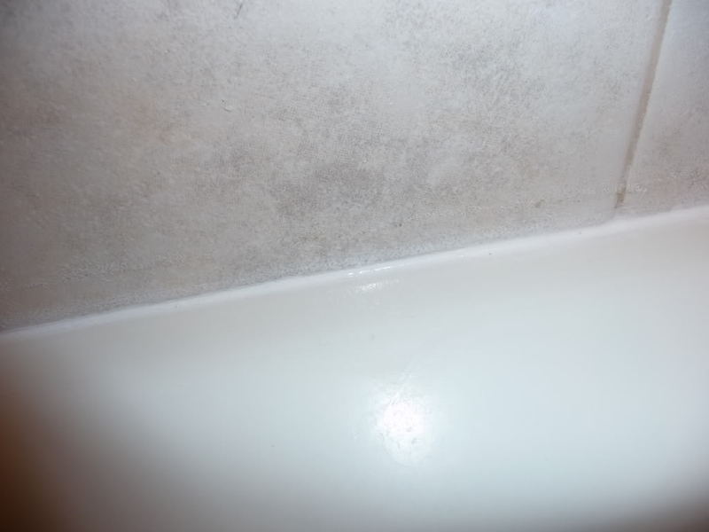 shower2007.jpg