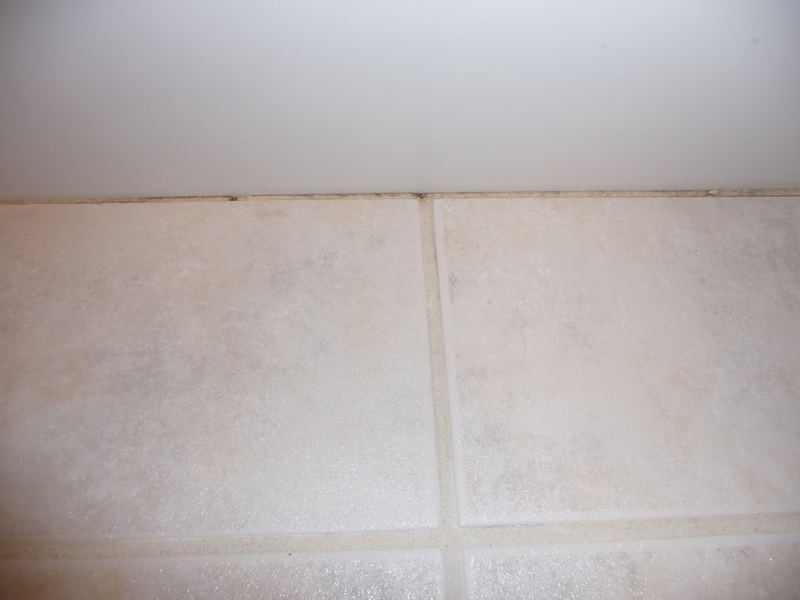shower2009.jpg