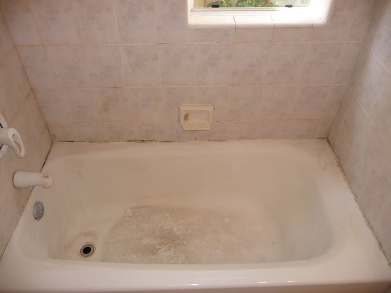 shower2013.jpg
