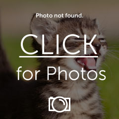 th_TuesdayFebruary172009.jpg