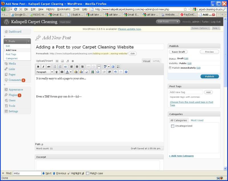 wordpress-page-view.jpg
