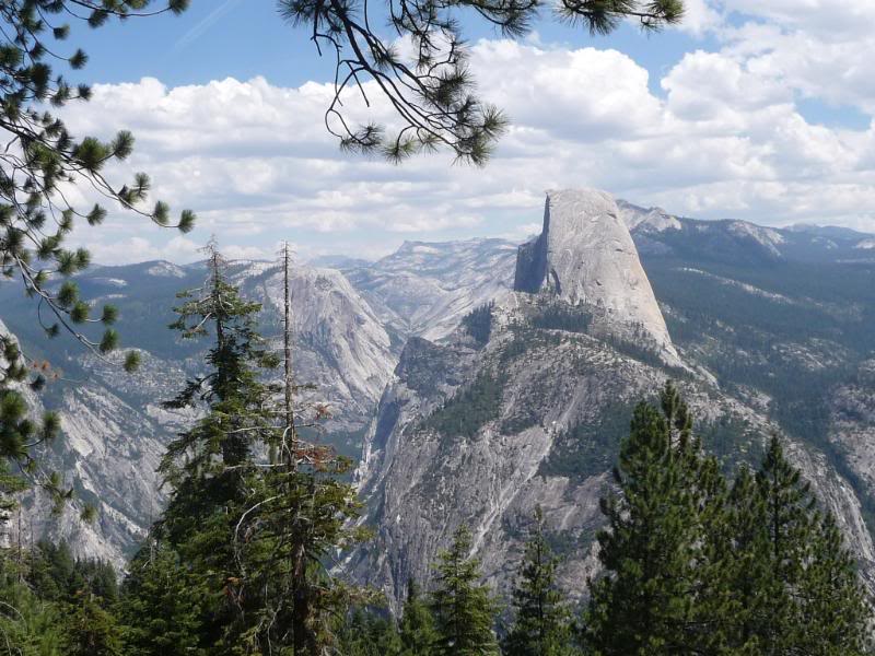 yosemitetrip011.jpg