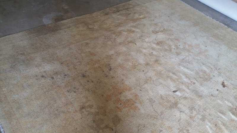 20160310_102404.jpg