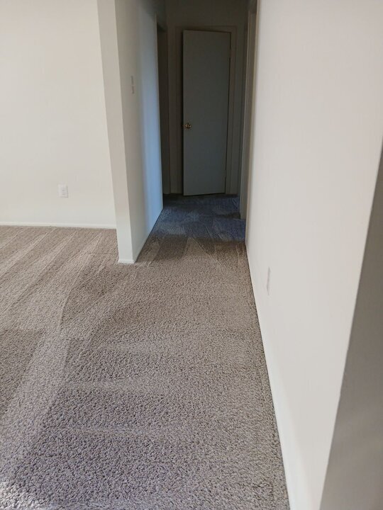 image000002 (19).jpg