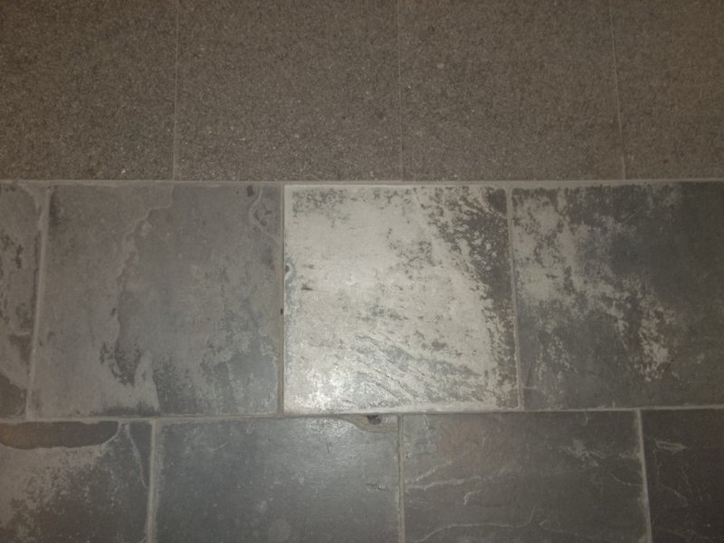 100_4644.JPG